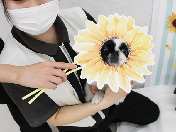 ２年生とモデル犬の写真撮影会♪～PART②～